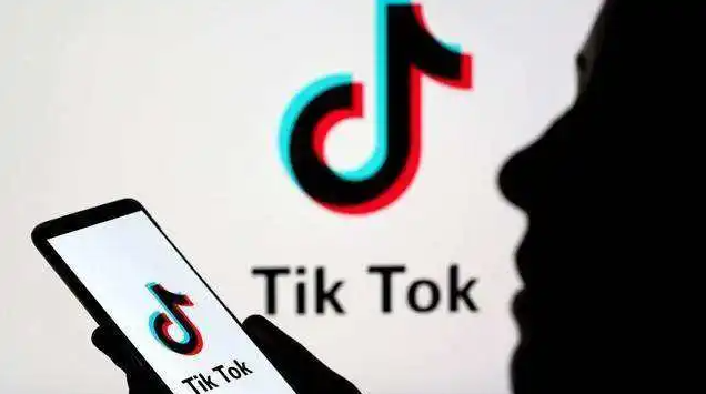 TikTok 2022年营收有望突破110亿美元