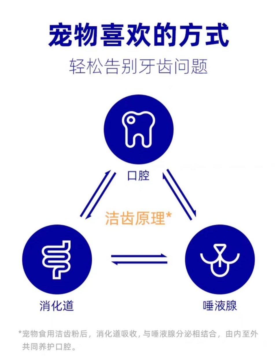 去除猫咪口臭，市场上洁牙产品太多？小壳宠物洁牙粉入手不亏！