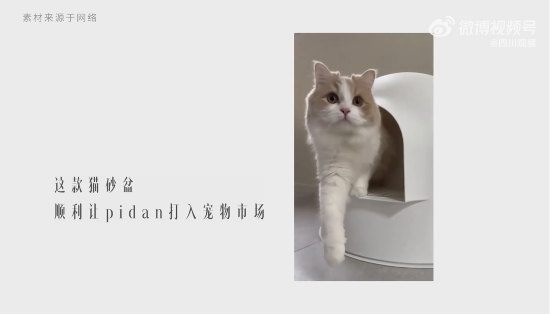 脉速早报 | 话剧演员转行做跨境，卖猫砂一年进账7个亿