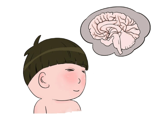 促进孩子大脑发育有什么好处？家长应该怎样做？