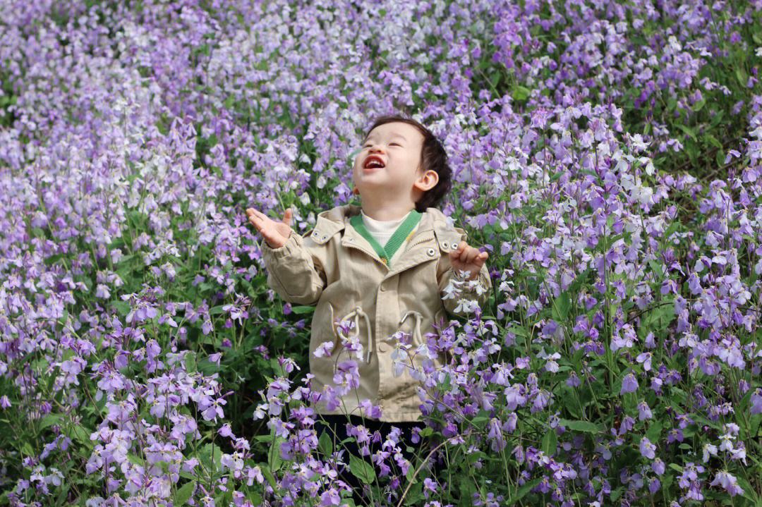 泉州有哪些适合春游赏花遛娃的好去处？